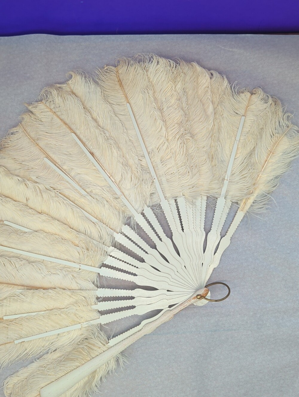 Vintage 1920s Ostrich Feather Folding Fan